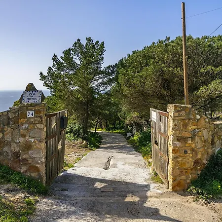 Whome Wilderness Escape: Secluded Haven For Remote Work Colares Exterior photo
