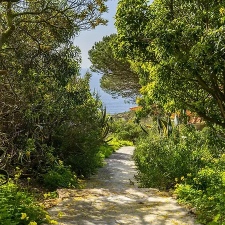 Whome Wilderness Escape: Secluded Haven For Remote Work Colares Exterior photo